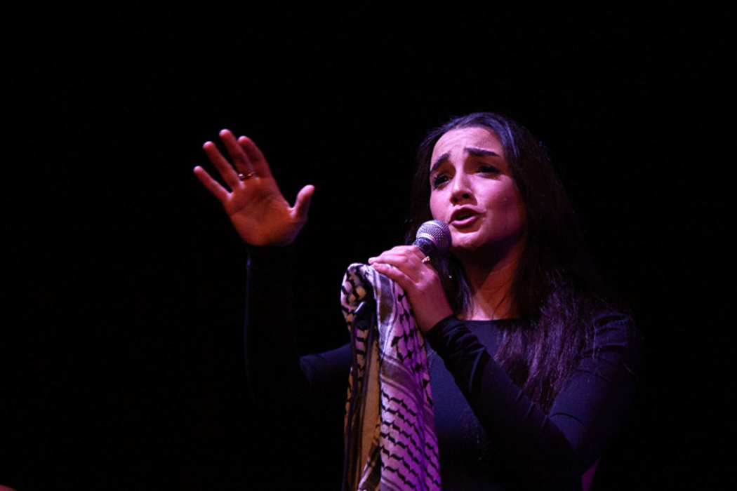 Cabaret singer Image